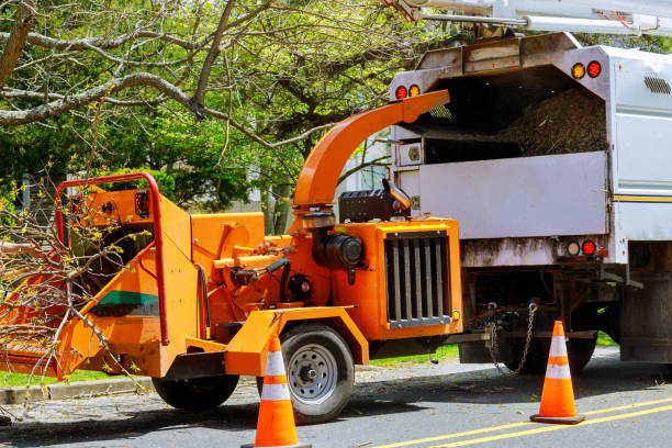 Gibson City, IL Tree Removal and Landscaping Services Company